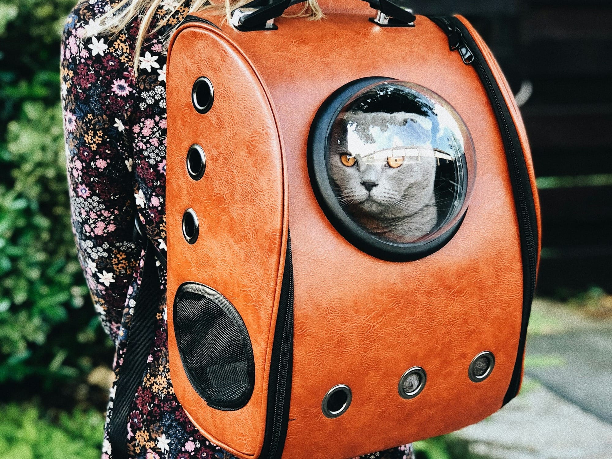 woman carrying pet carrier while standing near green plant