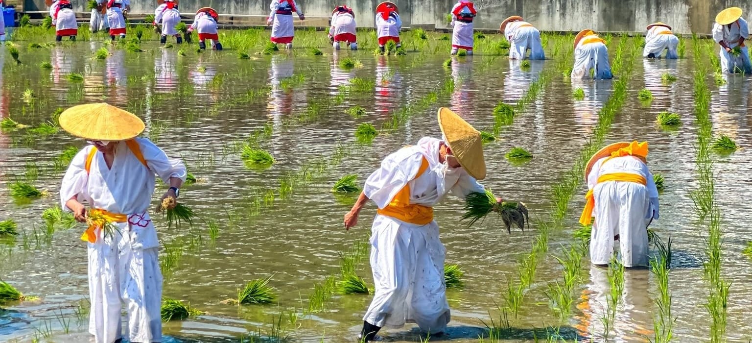 Introduction to the Rice Planting Festival in Osaka (Otaue Shinji )